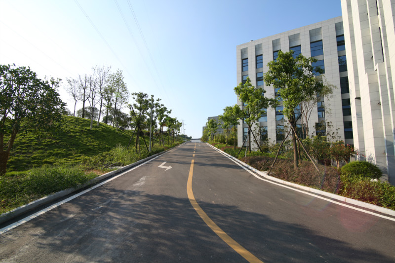 公司道路