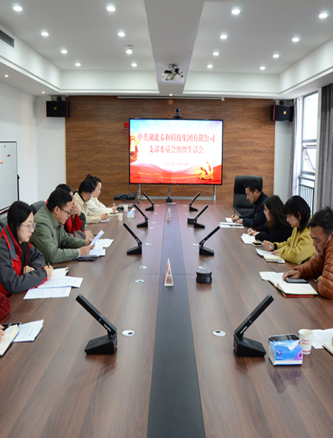 泰和科技集团党支部组织开展2024年度组织生活会